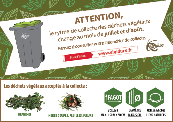 Changement du rythme de la collecte des déchets végétaux durant les mois de juillet et d’août