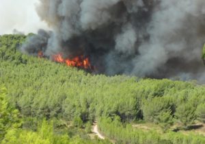 Alerte risque d’incendies de forêt