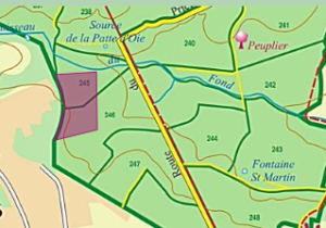 INFO COUPE FORET DOMANIALE DE MONTMORENCY