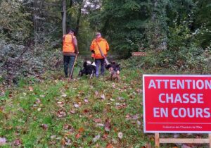 Saison de chasse 2023-2024
